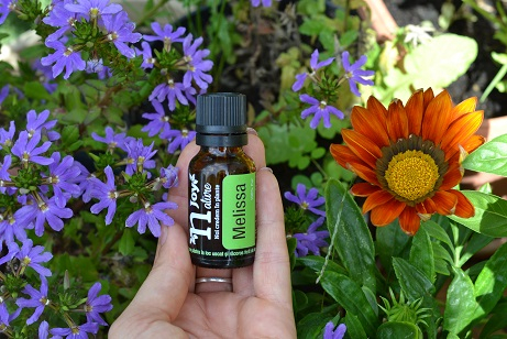 Ulei Esential Roiniţă, Melissa 15ml [3]