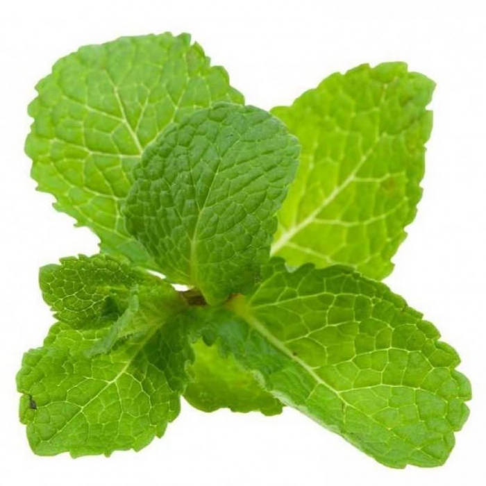 Ulei Esențial Pur Spearmint / Mentha Spicata 15ml [2]