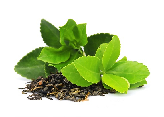Ulei Esenţial Pur Arbore De Ceai / Tea Tree / Melaleuca Alternifolia 15ml [2]