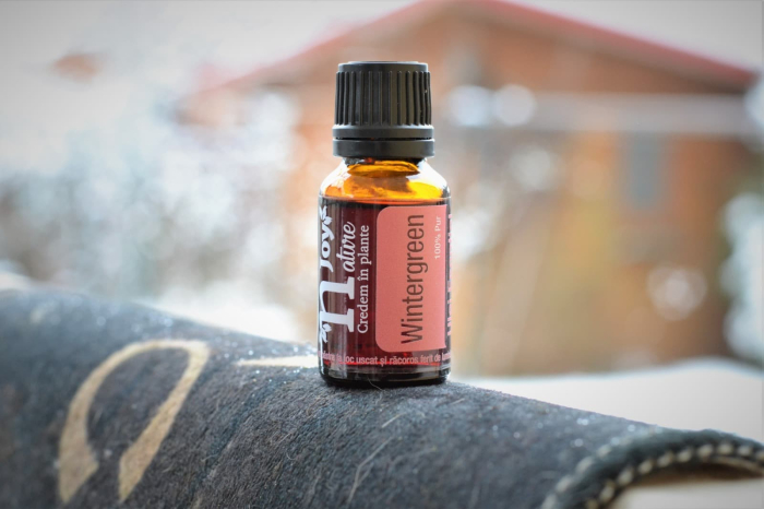 Ulei Esential Wintergreen 15ml [3]