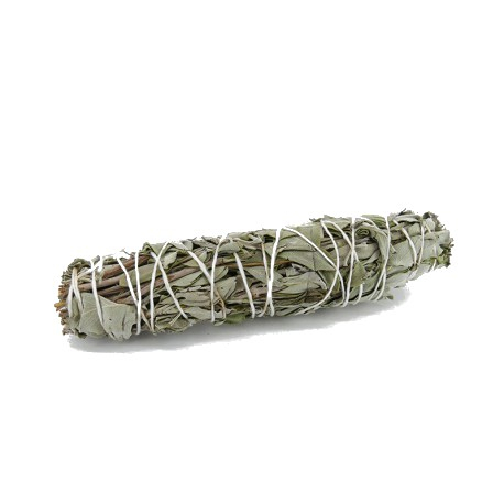 White Sage Smudge - Salvie manunchi [1]