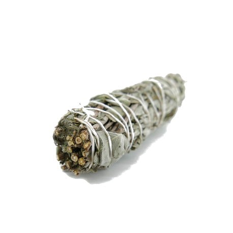 White Sage Smudge - Salvie manunchi [2]