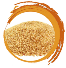 Palo Santo - Palo Santo Macinat (rumegus)