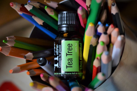 Ulei Esential Arbore de Ceai, Tea Tree 15ml [2]