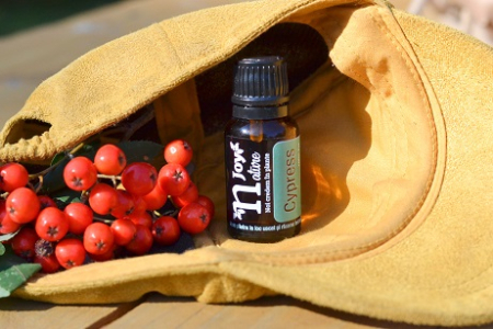 Ulei Esential Chiparos, Cypress 15ml [2]