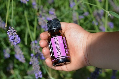 Ulei Esential Lavandă, Lavender 15ml [2]