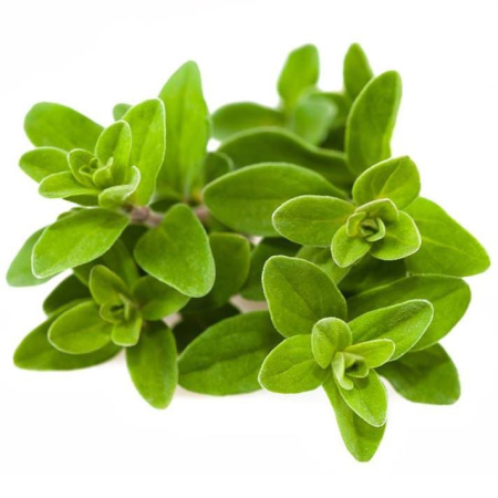 Ulei Esential Măghiran, Marjoram 15ml [1]