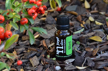 Ulei Esential Mentă, Mint 15ml [2]