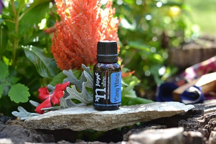 Ulei Esential Ylang Ylang 15ml [2]