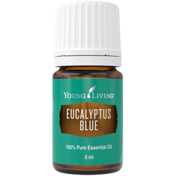 Ulei Esential Eucalyptus Blue - Ulei Esential Eucalipt Albastru [1]
