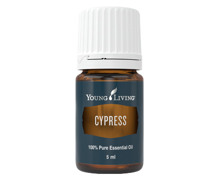 Ulei Esential Chiparos (Cypress) 5 ml [1]