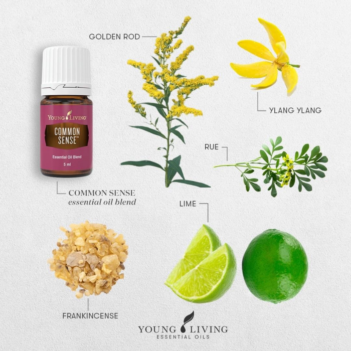 Common Sense Essential Oil Blend - Ulei esențial amestec Common Sense [2]
