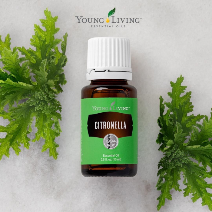 Ulei Esential Citronella - Ulei Esential Cironela [2]