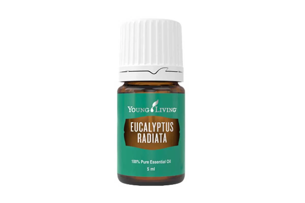 Ulei Esential Eucalyptus Radiata - Ulei Esential Eucalipt Radiata [1]
