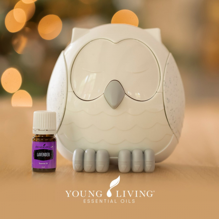 11. Aromatizatoare - Aromatizatorul Snowy the Owl și TummyGize 5 ml