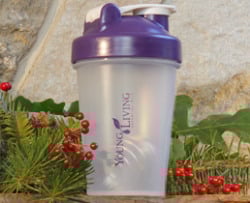 8. Accesorii - YL Blender Bottle
