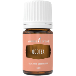 1. Uleiuri Esentiale - Ulei Esential Ocotea - Ulei Esential Ocotea