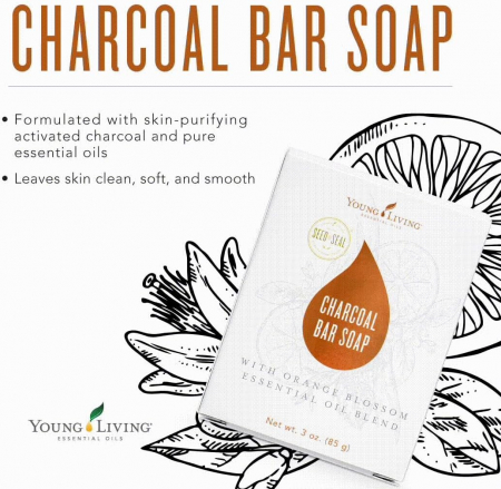 Charcoal Bar Soap [4]