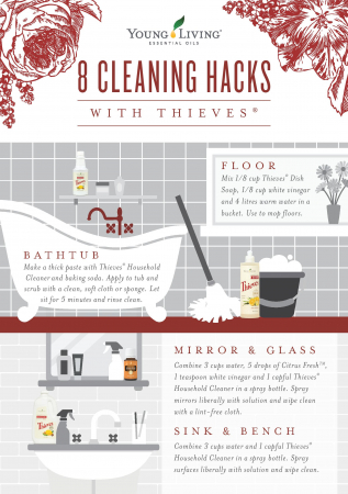 Thieves Household Cleaner [2]