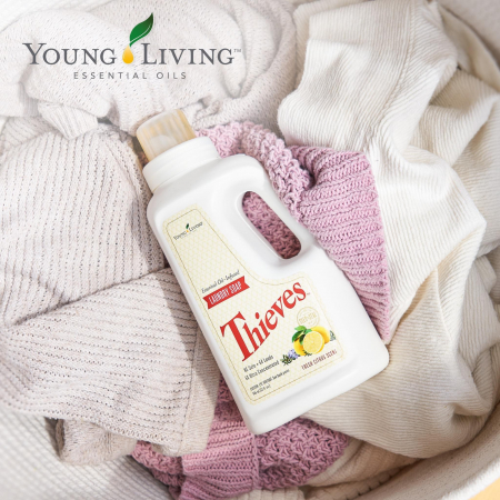 Thieves Laundry Soap [1]