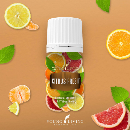 Citrus Fresh Essential Oil Blend - Ulei esențial amestec Citrus Fresh [1]