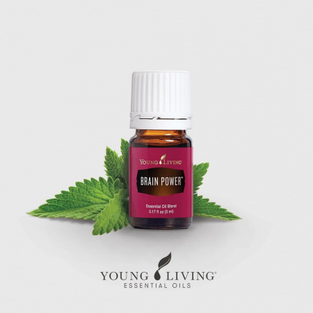 Brain Power Essential Oil Blend - Ulei esențial amestec Puterea Mintii [2]