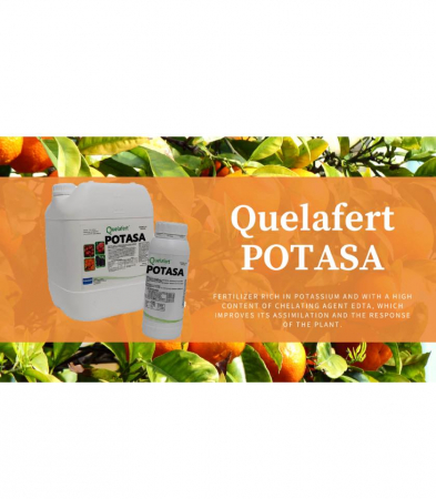 Fertilizanti foliari - INGRASAMANT FOLIAR CU POTASIU POTASIK 0.0.30