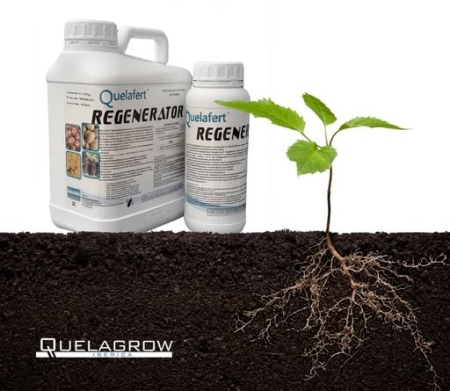 Ameliorator de sol - AMELIORATOR DE SOL REGENERATOR PE BAZA DE BACTERII FIXATOARE DE AZOT