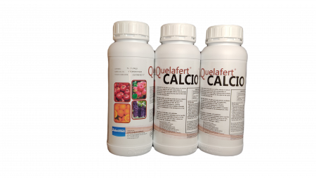Micronutrienti - INGRASAMANT FOLIAR CU CALCIU CALCIO 1 L