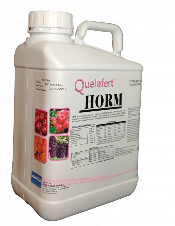 Biostimulatori - STIMULATOR INFLORIRE SI CRESTERE FRUCTE HORM 1 L