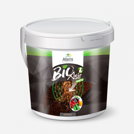 Inoculanti de sol pe baza de micorize - INGRASAMANT DE SOL CU MICORIZA SI TRICHODERMA  ASIR HORTO BIO 500 comprimate