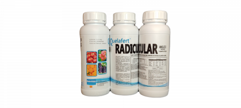 Aminoacizi - STIMULATOR DE INRADACINARE  RADICULAR 1 L