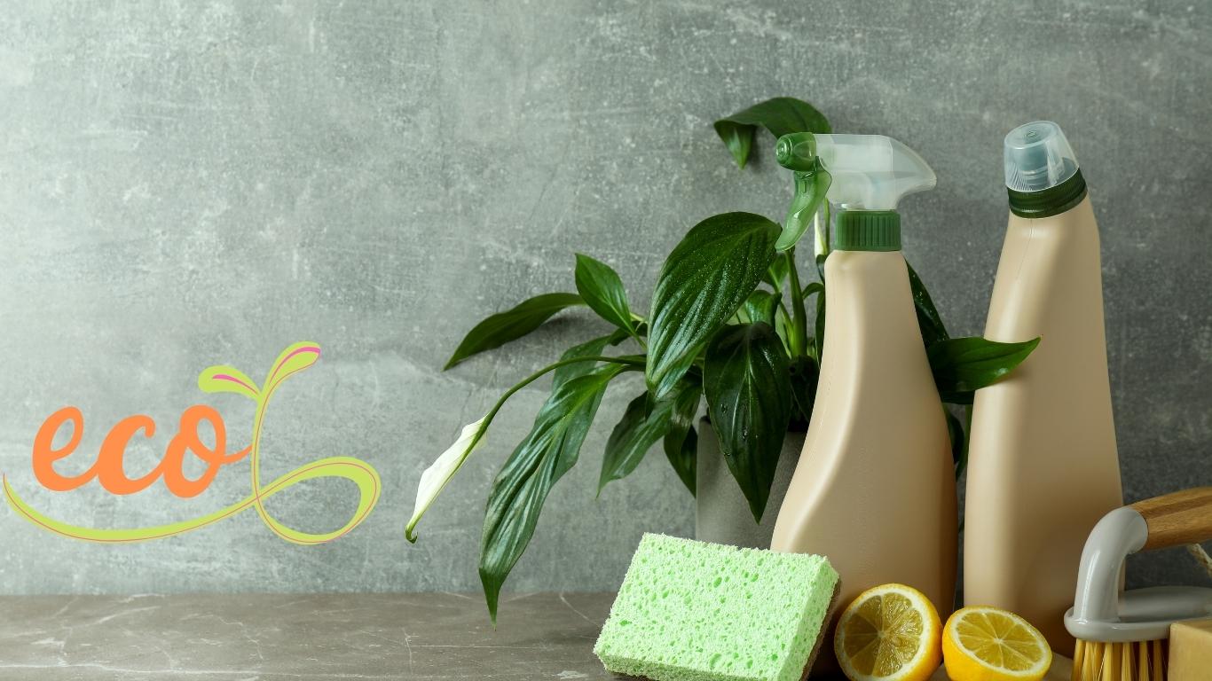 5 motive să folosești detergenți bio
