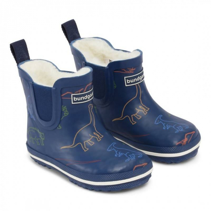 Short warm rubber boot Dinosaur [1]