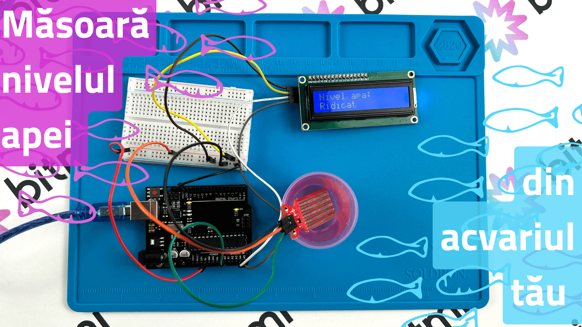 Cum poti monitoriza nivelul de apa dintr-un acvariu cu un senzor de nivel apa Arduino