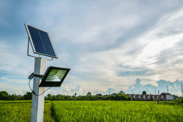Cum functioneaza lampile solare si de ce sunt o alegere inteligenta pentru curtea ta?
