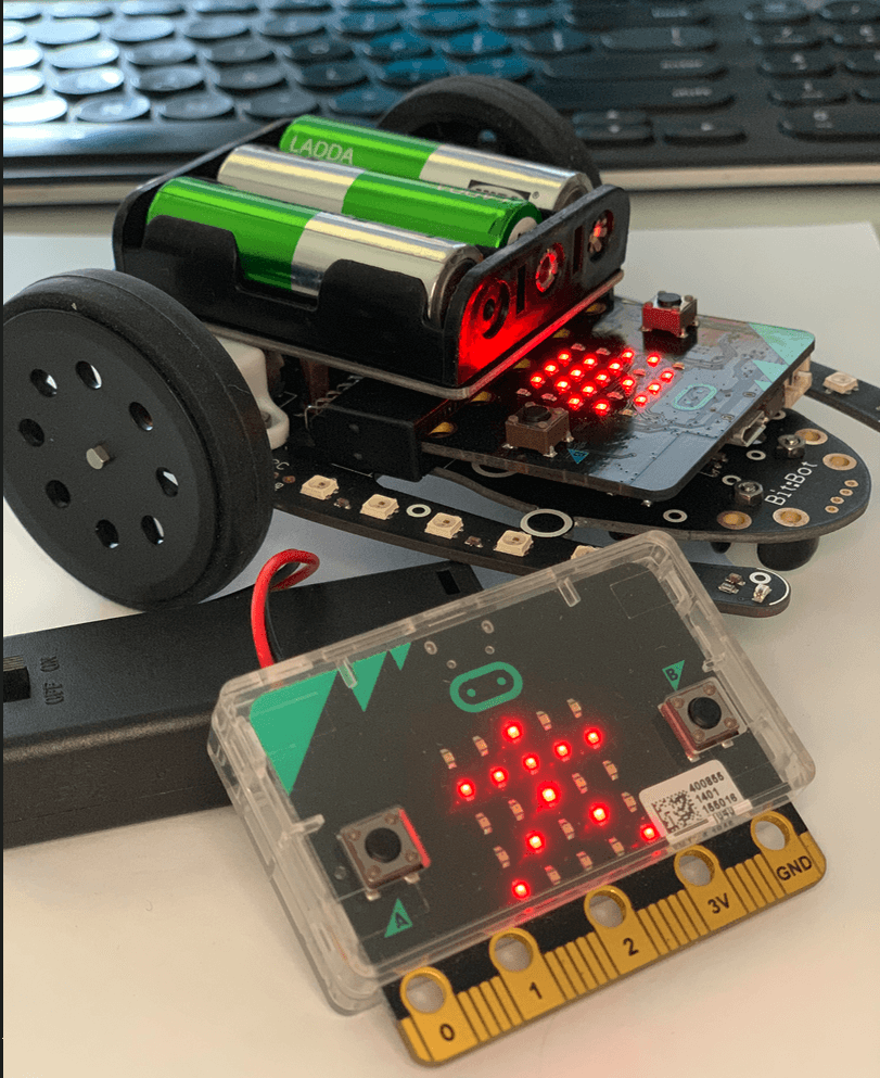Caracteristici generale ale placii Micro:bit - bitmi