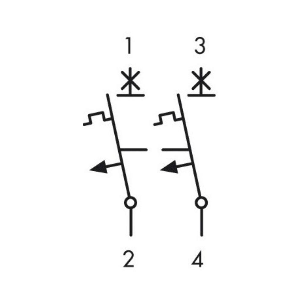 Intrerupator automat modular (MCB) AMPARO, 6kA, B 20A, 2 poli, SCHRACK AM618220 [2]