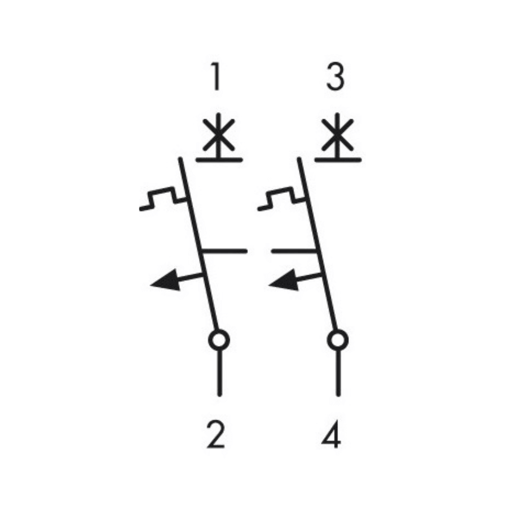Intrerupator automat modular (MCB) AMPARO, 6kA, B 25A, 2 poli, SCHRACK AM618225 [2]