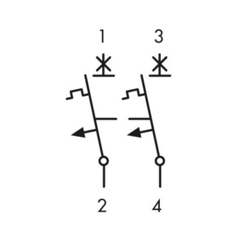 Intrerupator automat modular (MCB) AMPARO, 6kA, B 25A, 2 poli, SCHRACK AM618225 [1]