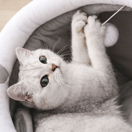 Casuta pentru pisici tip igloo RedLine, cu jucarie, pat moale pentru pisica, interior cald si confortabil, 31x27x27 cm, Gri [3]