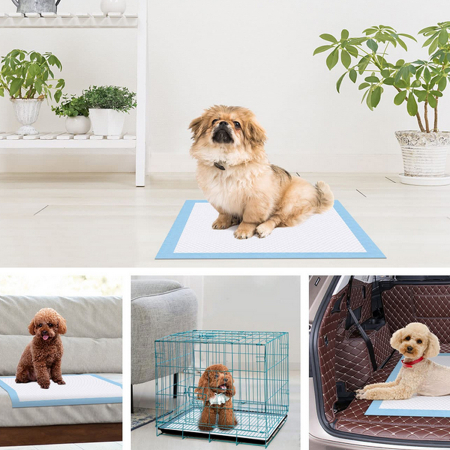 Set aleze (paturici) absorbante de unica folosinta MEDLINE, protectii pentru pat, 60x60 cm, 25 buc, MSC281241C [8]