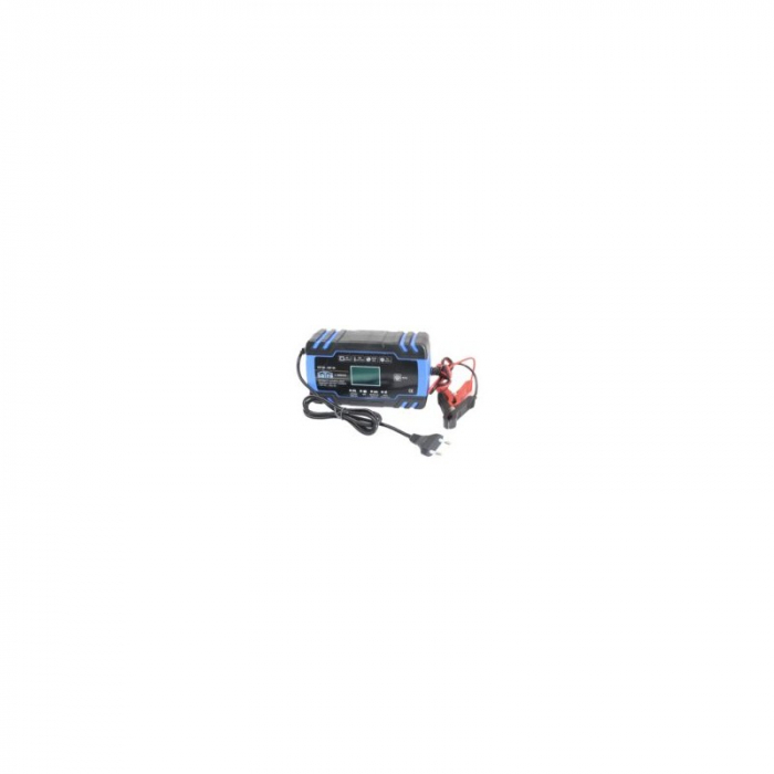 Redresor auto automat display  LCD 12V/24V 8A/4A [2]