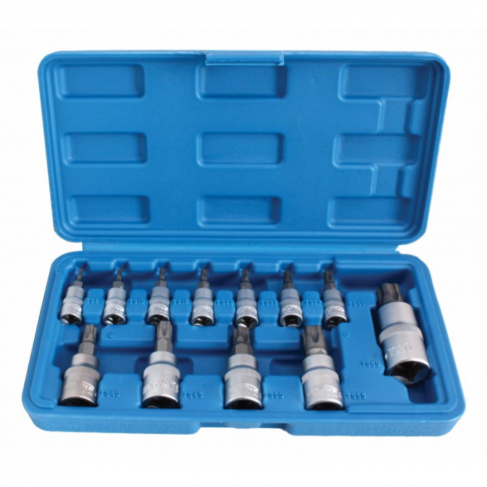 Trusa biti Torx-Plus TS 5 puncte 12 piese [2]