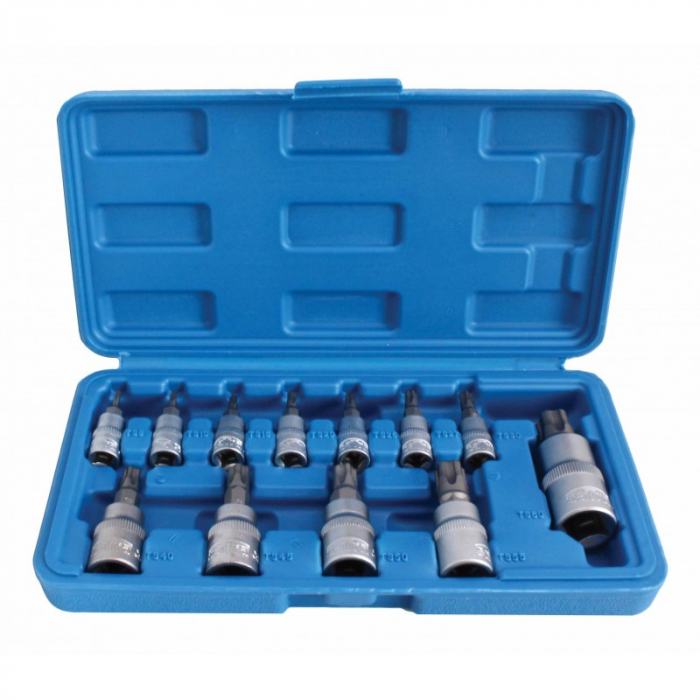 Trusa biti Torx-Plus TS 5 puncte cu gaura 12 piese [2]
