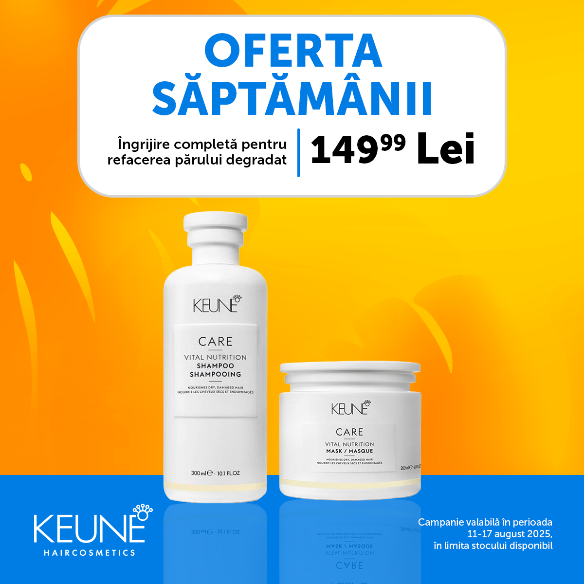 Oferta Saptamanala 11-17 August