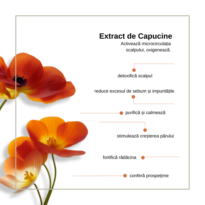 Sampon pentru detoxifierea scalpului Keune Care Perfect Clarity Shampoo, 300 ml [2]