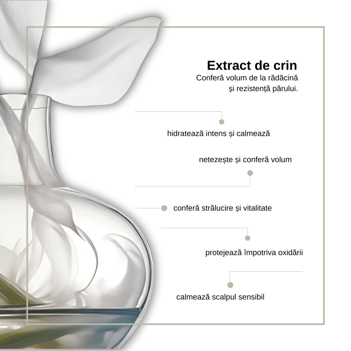 Sampon pentru volum si textura Keune Care Absolute Volume Shampoo, 300 ml [3]