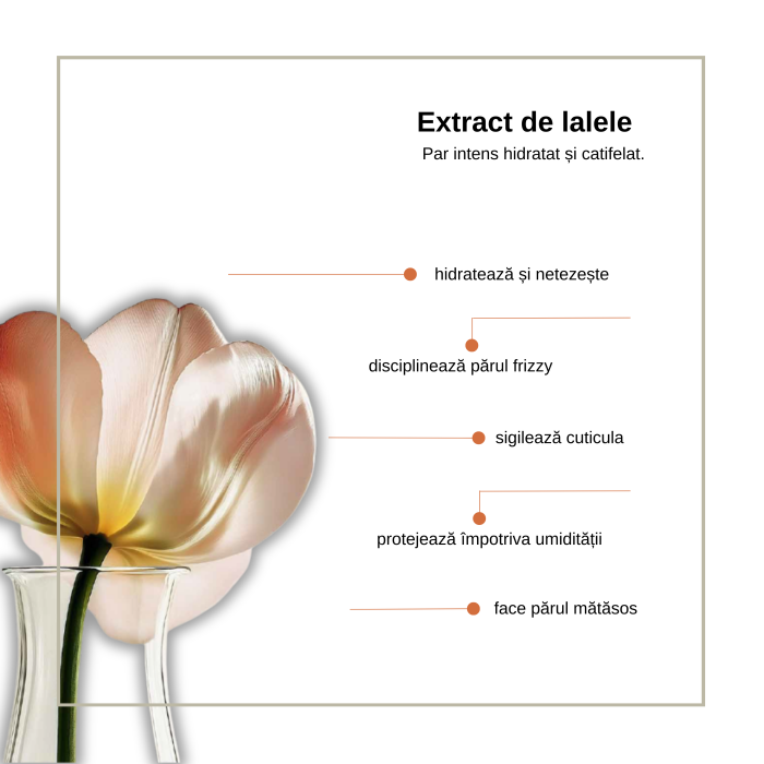 Spray bifazic pentru disciplinarea parului rebel Keune Care Velvet Smooth 2 Phase Spray, 200 ml [2]