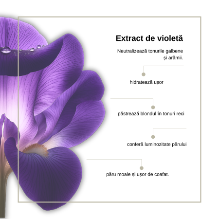 Tratament spuma pentru neutralizarea tonurilor calde Keune Care Silver Savior Treatment, 200 ml [1]